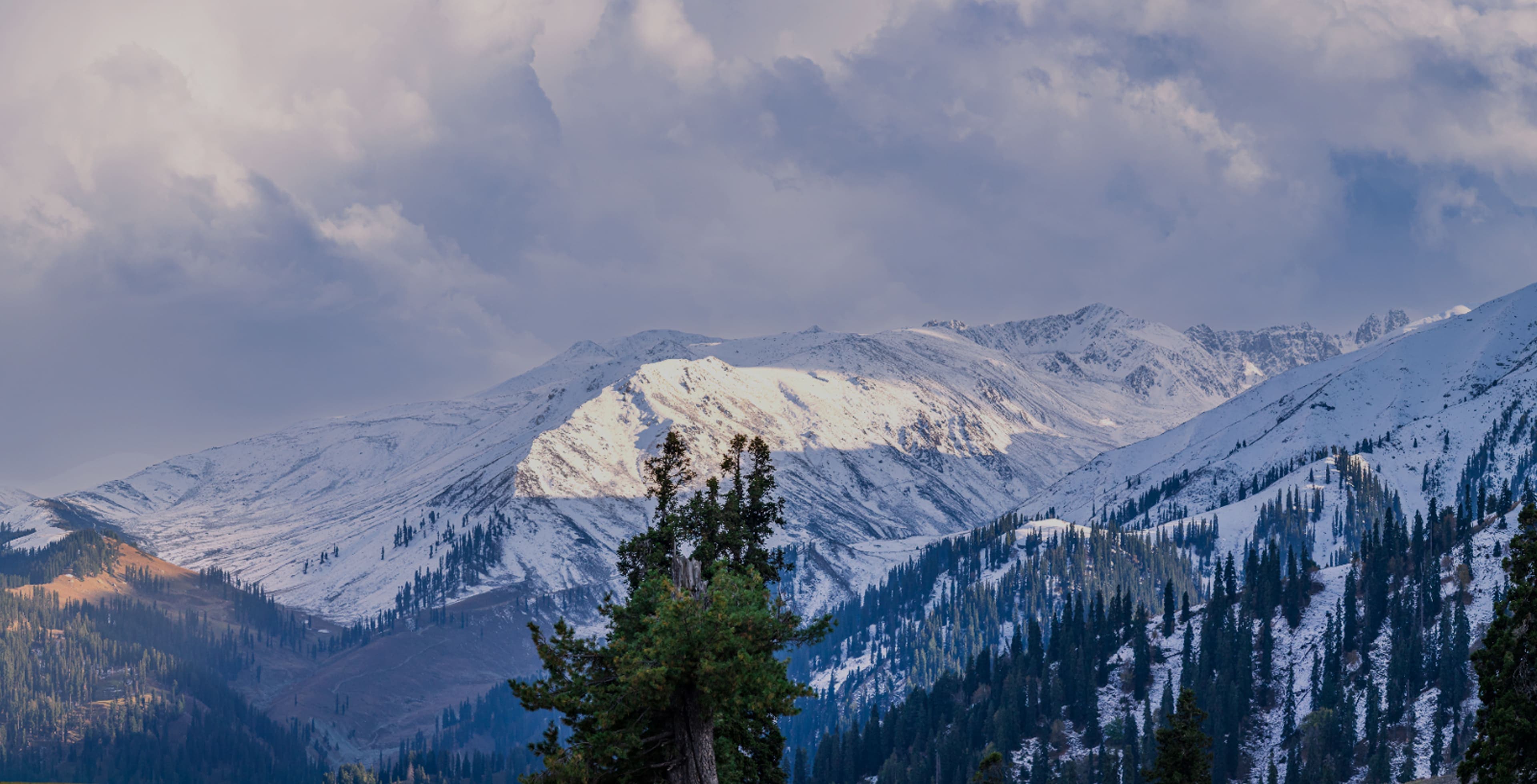 キービジュアル