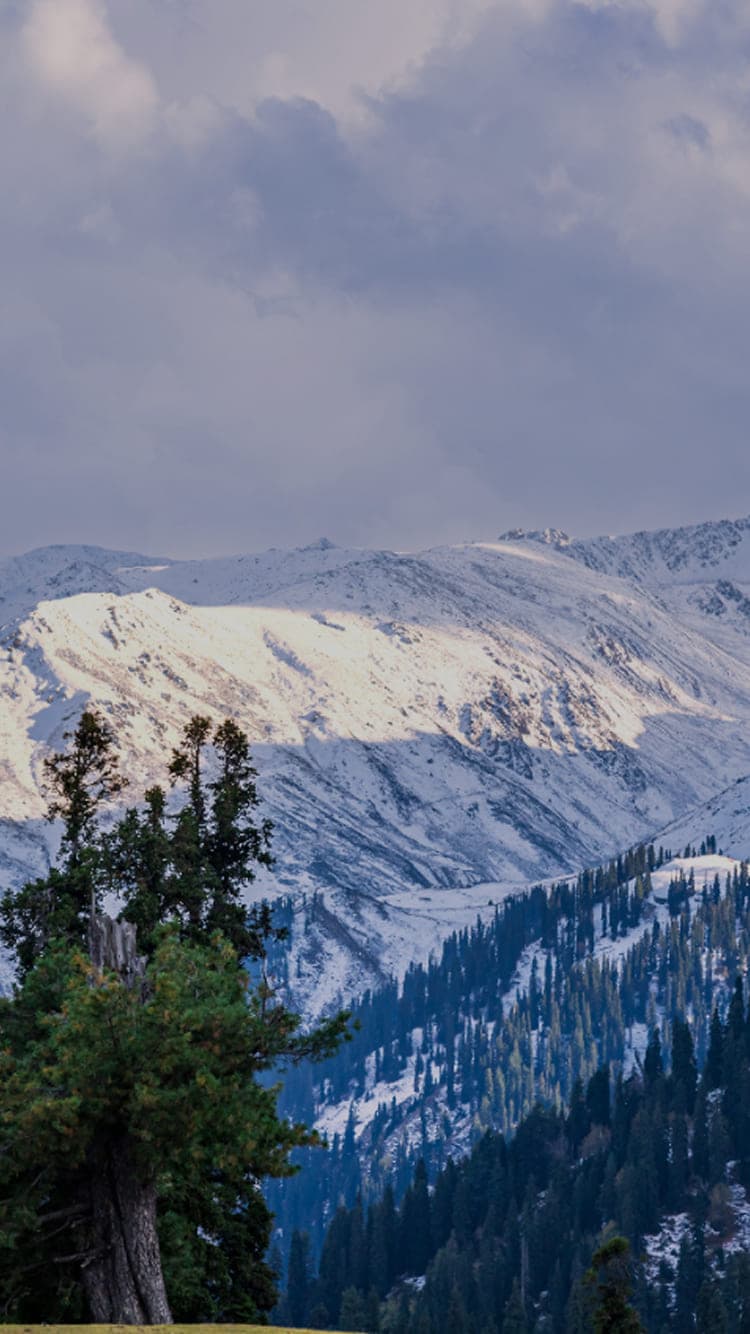 キービジュアル